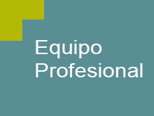 Equipo Profesional