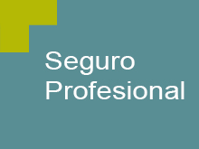 Seguro Profesional
